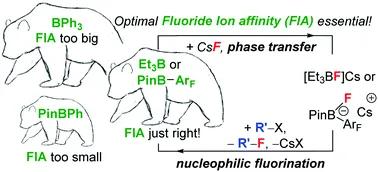 Main Group Catalysis example