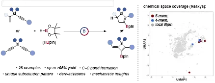 Catalytic Access to Diastereometrically Pure Four-and Five-Membered Silyl-Heterocycles Using Transborylation