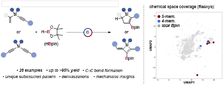 Catalytic Access to Diastereometrically Pure Four-and Five-Membered Silyl-Heterocycles Using Transborylation