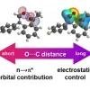 Reconciling electrostatic and n→π* orbital contributions in carbonyl interactions