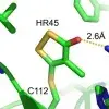 Structural evidence for the covalent modification of FabH by 4,5-dichloro-1,2-dithiol-3-one (HR45)