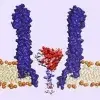 Commentary: Trapped enzyme reveals its unexpected shape-shifting ability