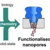 Functionalised nanopores: Chemical and biological modifications