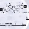 The role of terminal functionality in the membrane and antibacterial activity of peptaibol-mimetic Aib foldamers