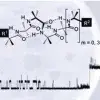 The role of terminal functionality in the membrane and antibacterial activity of peptaibol-mimetic Aib foldamers