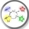Synthetically diversified protein nanopores: Resolving click reaction mechanisms
