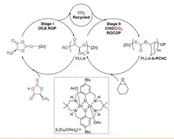 Carbon Dioxide Capture