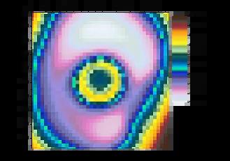 An Eye to the Future