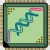 Simultaneous G-quadruplex DNA logic