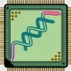 Simultaneous G-quadruplex DNA logic
