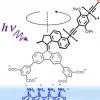 Defocused imaging of UV-driven surface-bound molecular motors