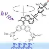 Defocused imaging of UV-driven surface-bound molecular motors