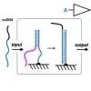 Modular multi-level circuits from immobilized DNA-based logic gates