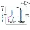 Modular multi-level circuits from immobilized DNA-based logic gates