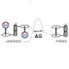 Molecular balances for quantifying non-covalent interactions