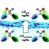 Seeing through solvent effects using molecular balances