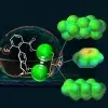 Quantifying solvophobic effects in non-polar cohesive interactions