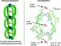 Allosteric catalysis