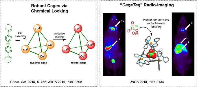 Various caged molecules