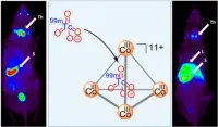 Anion