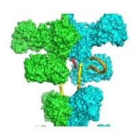 Poster Prize