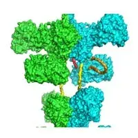 Poster Prize