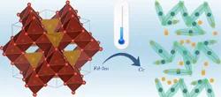 RSC Solid State Christmas Meeting