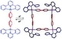 Metallosupramolecular Architectures