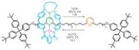 palladium(II)-complexed molecular shuttle
