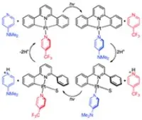 heteroleptic platinum coordination modes