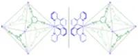 Phenylatopyridine Iridium-Based Coordination Capsules