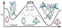 Self-assembly pathways