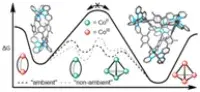 Self-assembly pathways