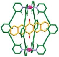 Molecular cage