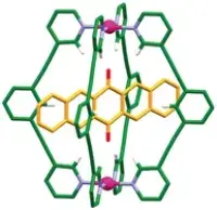 Molecular cage