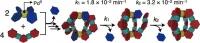 Rigid Ditopic Ligands