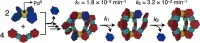 Rigid Ditopic Ligands