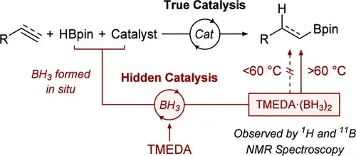 Hidden Boron Catalysis: A Cautionary Tale on TMEDA Inhibition 