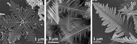 A.  E. Green et al. 2017