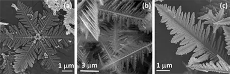 A. E. Green et al. 2017