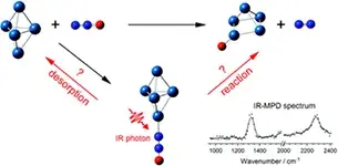 G. Meizyte et al., 2020