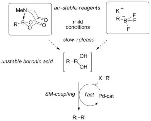  'The Slow-Release Strategy in Suzuki-Miyaura Coupling'; Invited contribution to Special Issue on Cross-Coupling & Nobel Prize in Chemistry