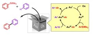 Gold-Catalyzed Oxidative Coupling of Arylsilanes and Arenes: Origin of Selectivity and Improved Precatalyst
