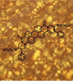 Chiral Perylene Diimides: Building Blocks for Ionic Self-Assembly