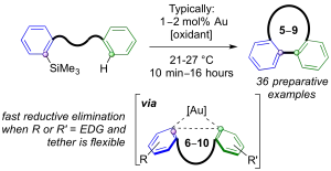 Au-catalyzed Biaryl Coupling to Generate 5- to 9-membered Rings: Turnover-Limiting Reductive Elimination versus π-complexation