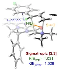 Catalytic Enantioselective [2,3]-Rearrangements of Allylic Ammonium Ylides: A Mechanistic and Computational Study