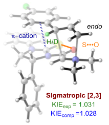 Catalytic Enantioselective [2,3]-Rearrangements of Allylic Ammonium Ylides: A Mechanistic and Computational Study