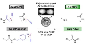 Gold-Triggered Uncaging Chemistry in Living Systems