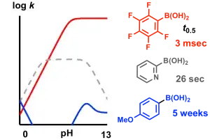 Base-catalyzed Aryl-B(OH)2 Protodeboronation Revisited: from Concerted Proton-Transfer to Liberation of a Transient Arylanion