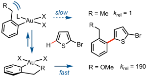 Au-Catalyzed Oxidative Arylation: Chelation-Induced Turnover of ortho-Substituted Arylsilanes